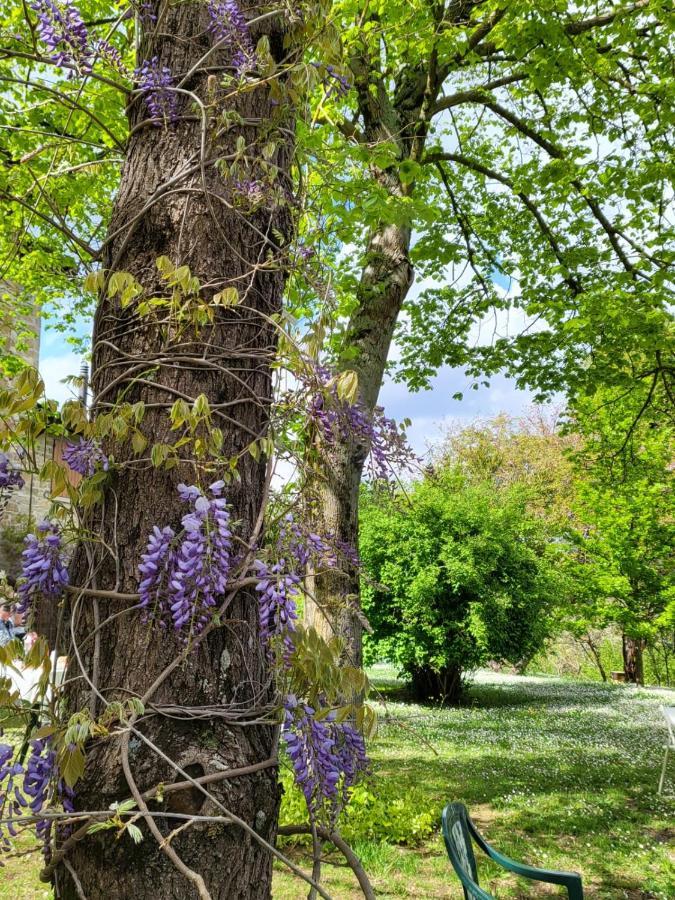 Sambuco Di Sopra Apartment Fratticciola Selvatica Luaran gambar